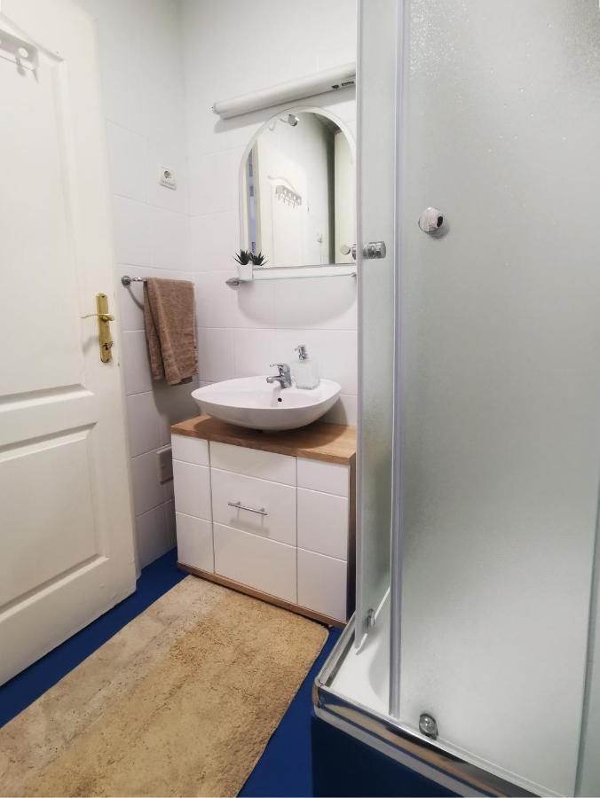 Center Apartment Iva Нови Сад Екстериор снимка